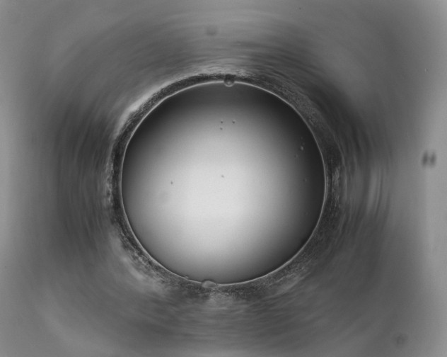 X0000112110388200908111448