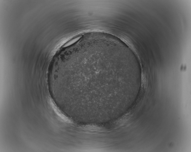 X0000112110389200908111448