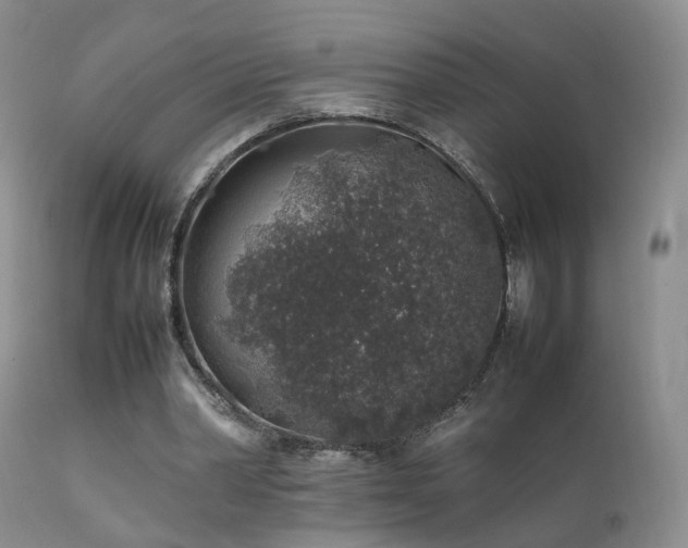 X0000112110390200908111448