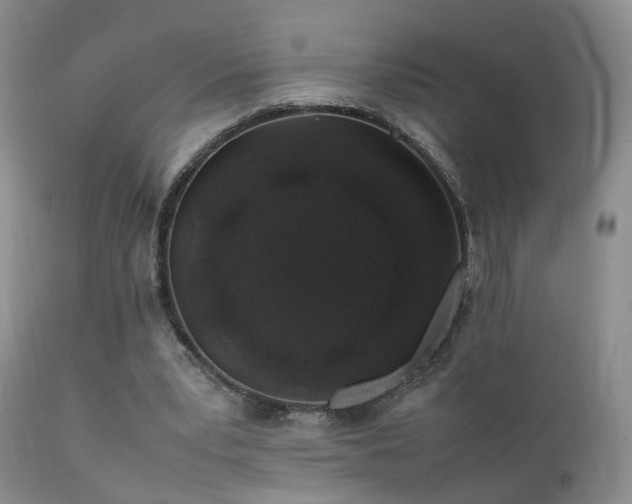 X0000112110391200908111448