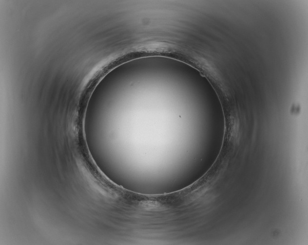 X0000112110392200908111448