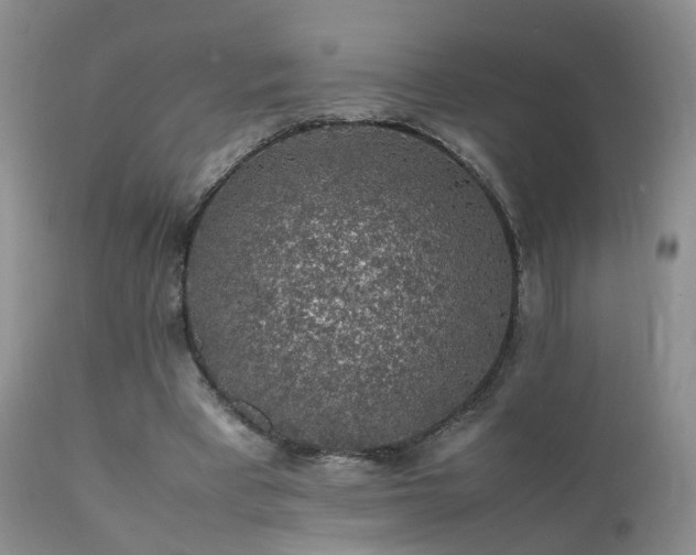 X0000112110393200908111447