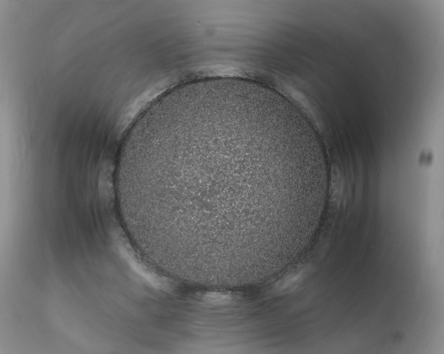 X0000112110394200908111447