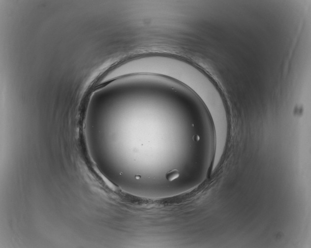 X0000112110395200908111447