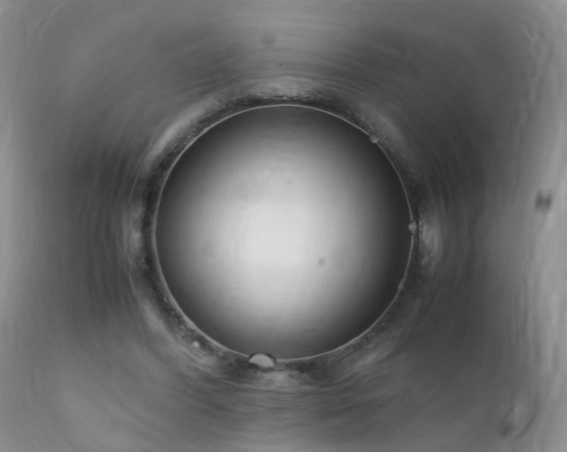 X0000112110396200908111447