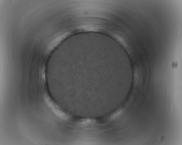 X0000112110398200908111447