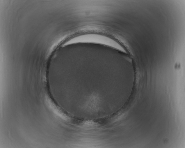 X0000112110399200908111447