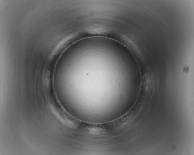 X0000112110400200908111447