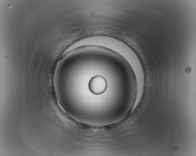 X0000112110401200908111447