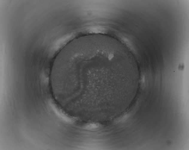 X0000112110402200908111447