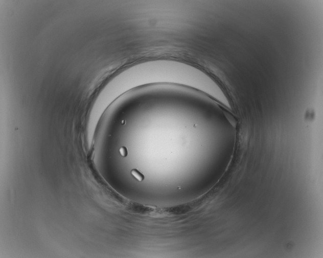 X0000112110403200908111447