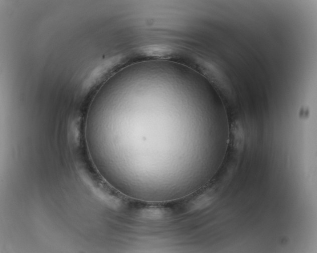 X0000112110404200908111447