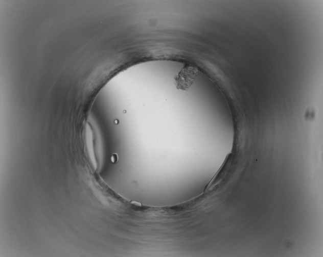 X0000112110405200908111447