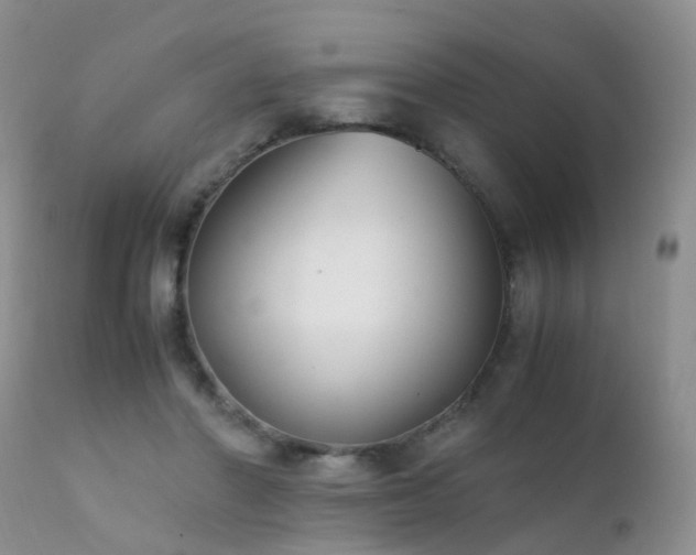 X0000112110406200908111447