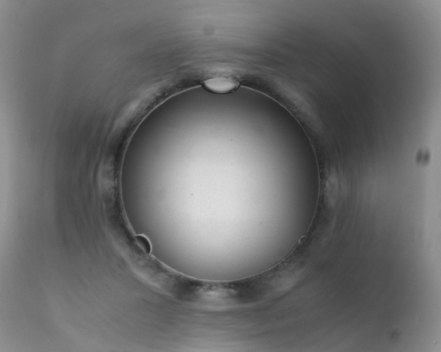 X0000112110407200908111447