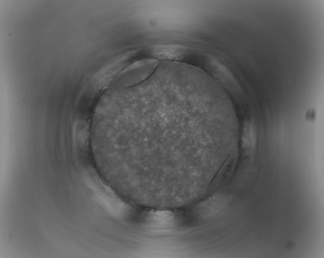 X0000112110409200908111447