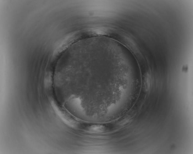 X0000112110410200908111447