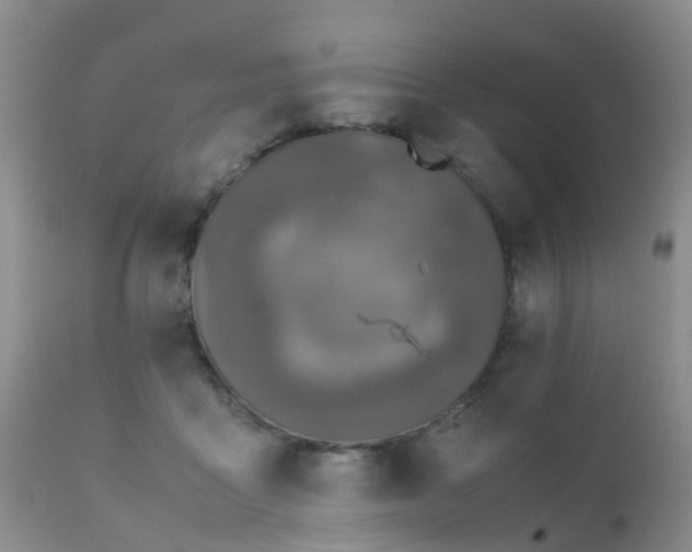 X0000112110411200908111447