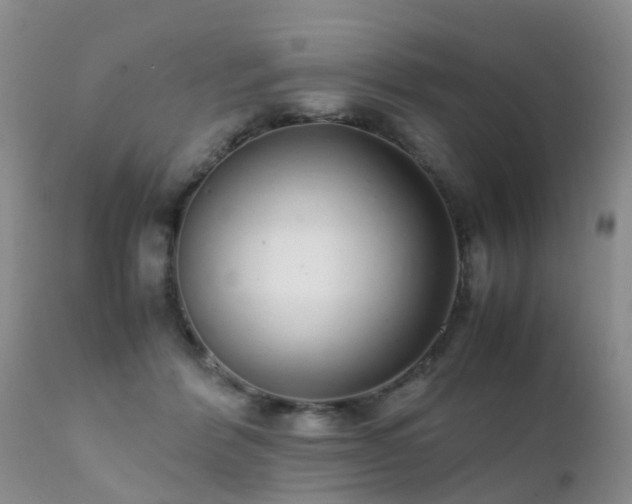 X0000112110412200908111447