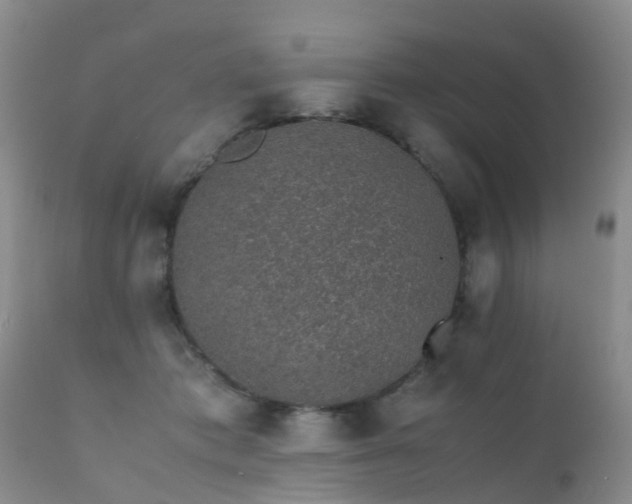 X0000112110413200908111447