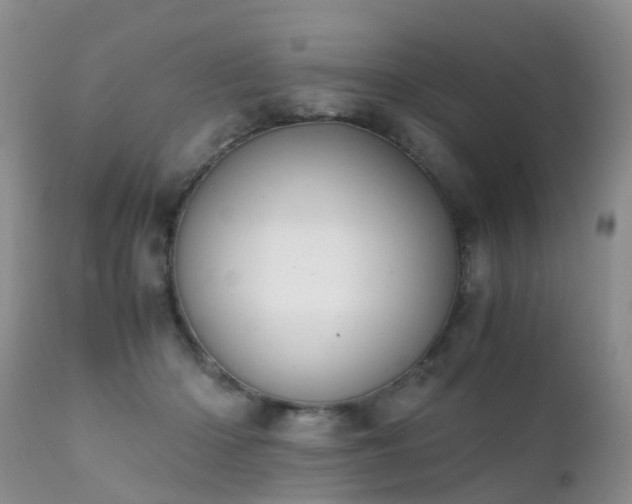 X0000112110414200908111447