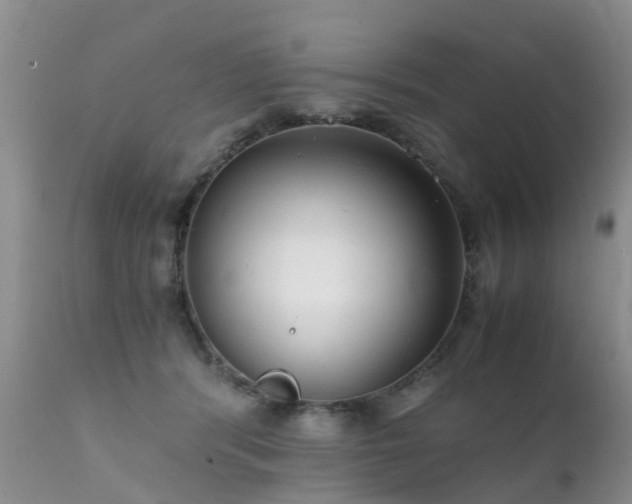 X0000112110416200908111447