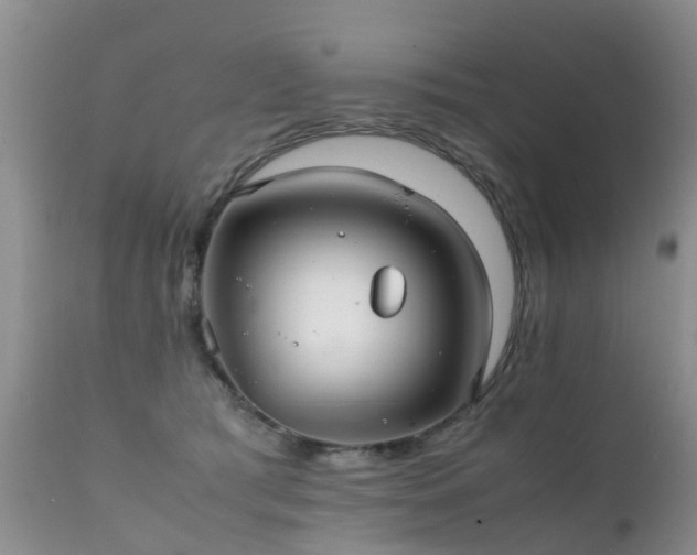 X0000112110417200908111447