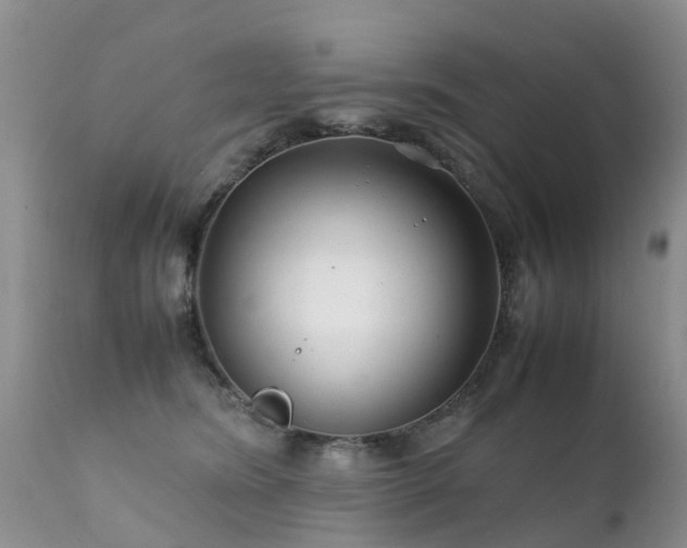 X0000112110420200908111447