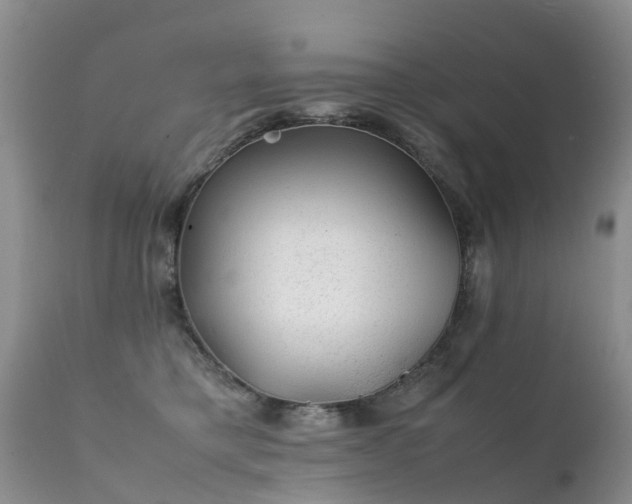 X0000112110421200908111447