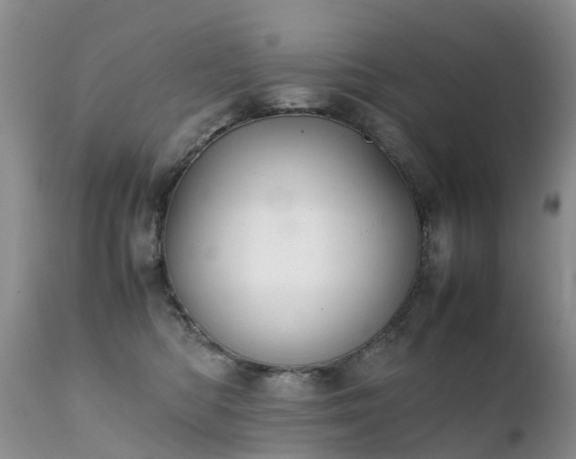 X0000112110422200908111447