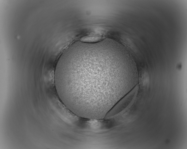 X0000112110425200908111447