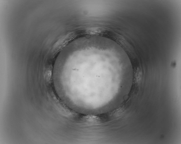 X0000112110427200908111447