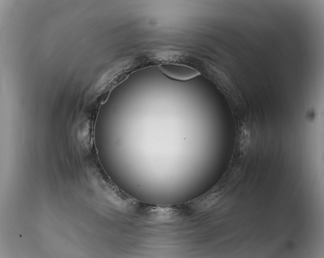 X0000112110428200908111447