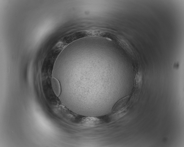 X0000112110429200908111447