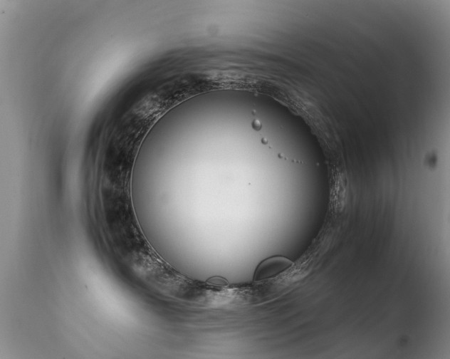 X0000112110430200908111447