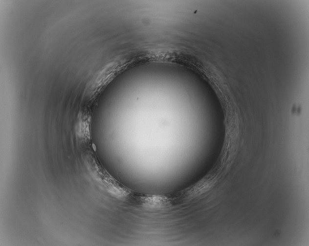 X0000112110432200908111447