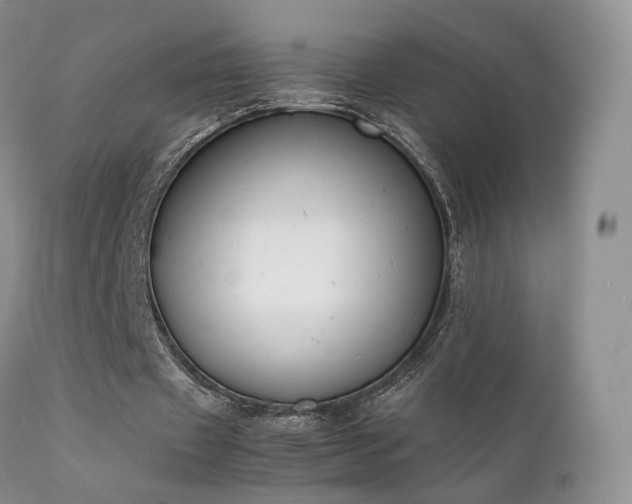 X0000112110433200908111446