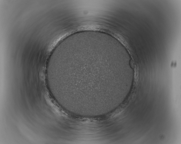 X0000112110434200908111446