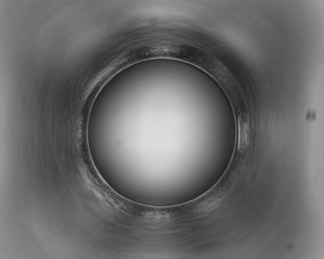 X0000112110435200908111446