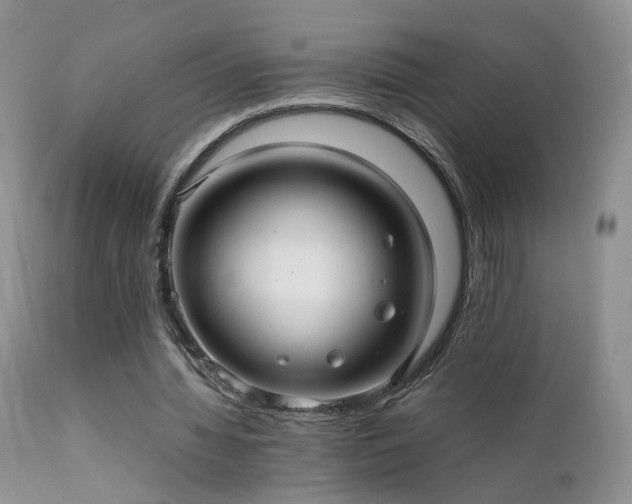 X0000112110436200908111446