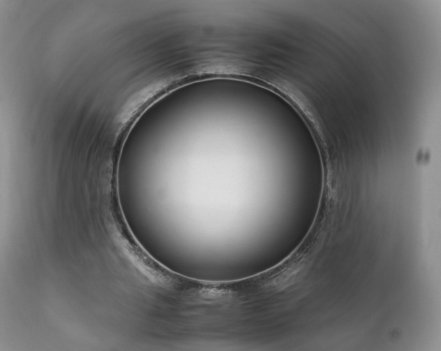 X0000112110437200908111446