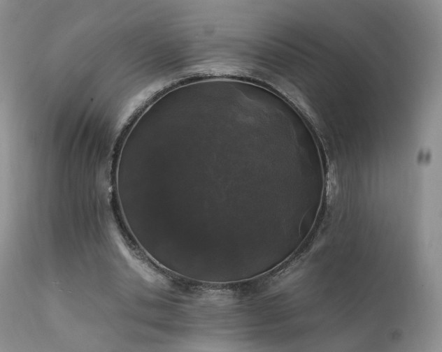 X0000112110438200908111446