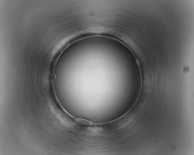 X0000112110440200908111446