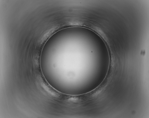 X0000112110441200908111446