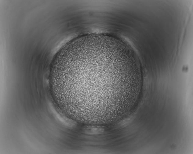 X0000112110443200908111446