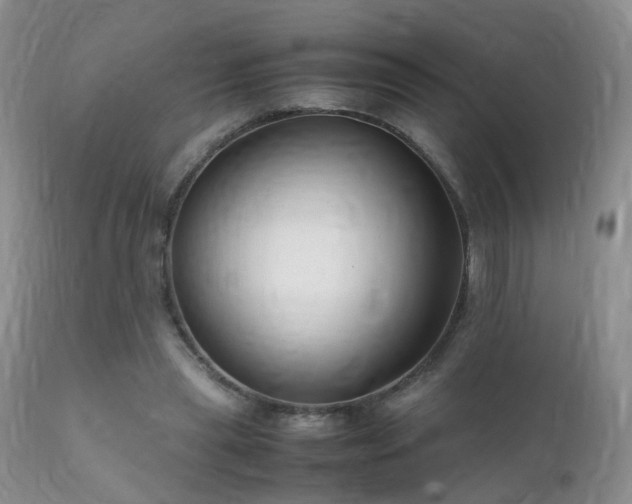 X0000112110445200908111446