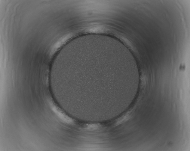 X0000112110446200908111446