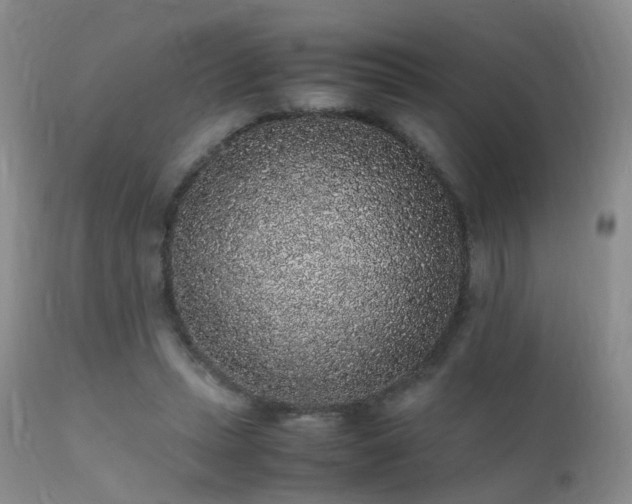 X0000112110447200908111446