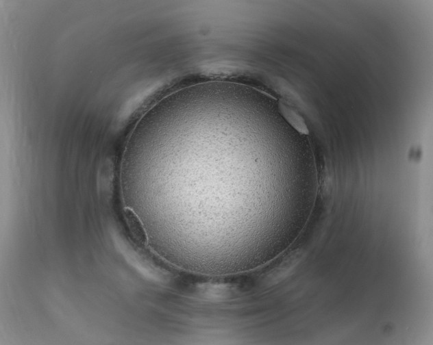 X0000112110448200908111446