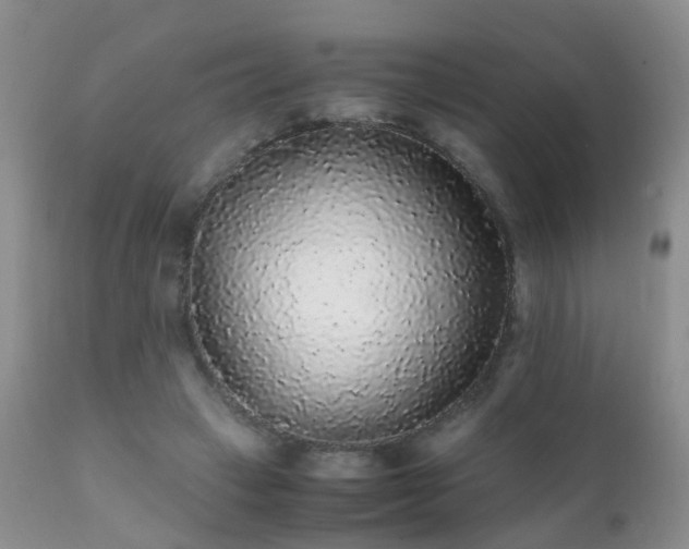 X0000112110449200908111446